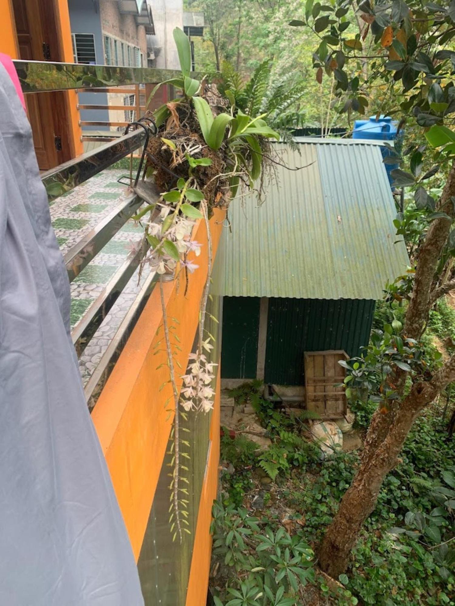Nhu Quynh Hotel Bao Lac Exterior foto